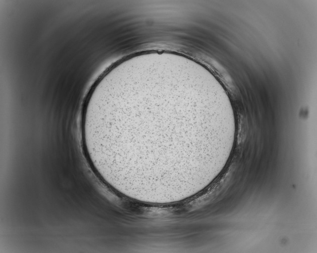 X0000102860796200809151210
