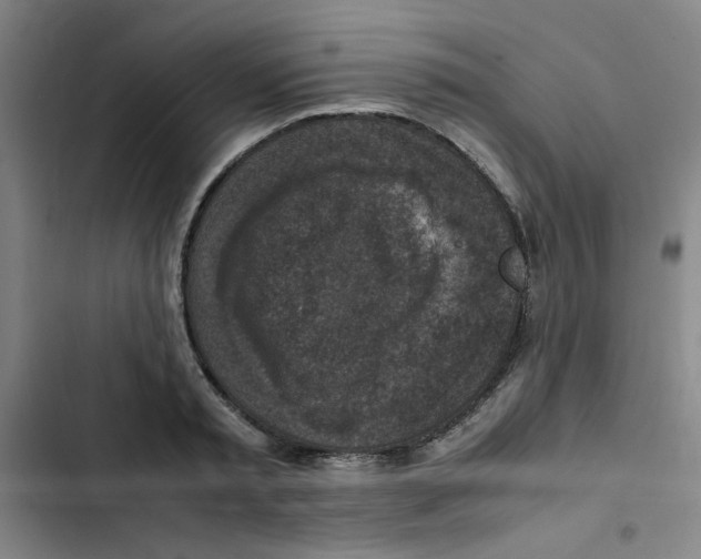 X0000102860797200809151210