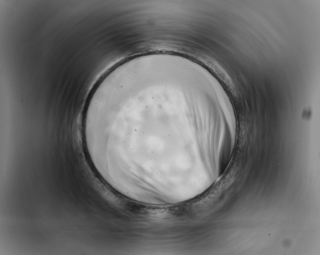 X0000102860798200809151210