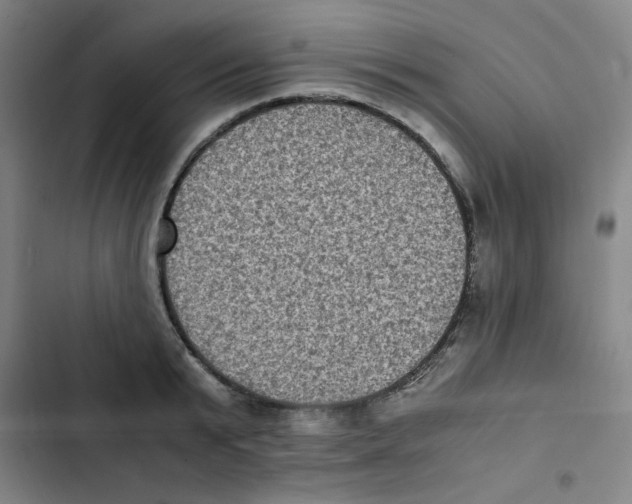X0000102860799200809151210