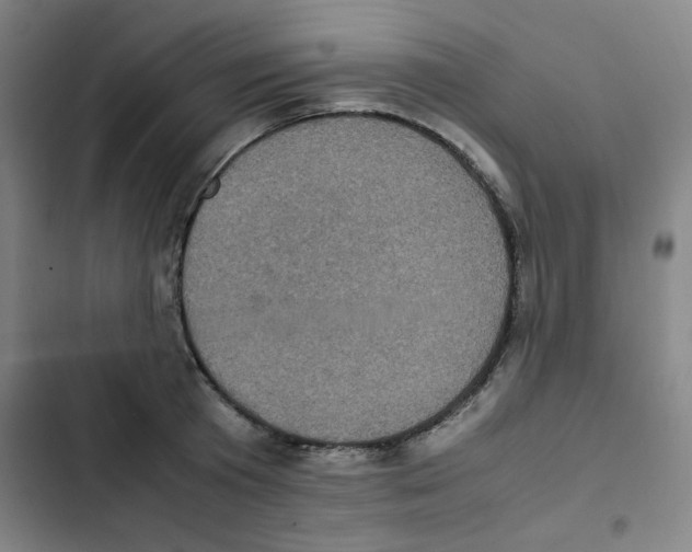 X0000102860801200809151210