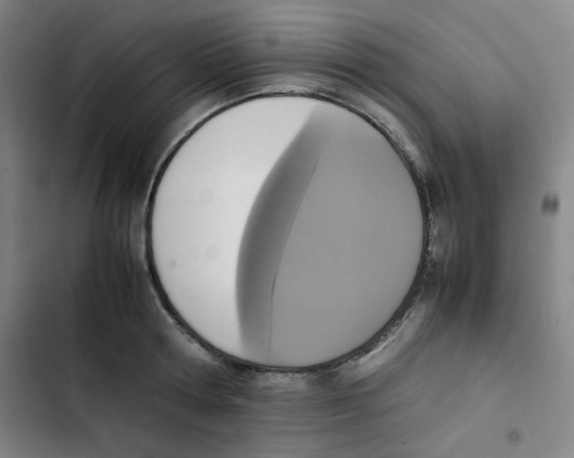 X0000102860802200809151210