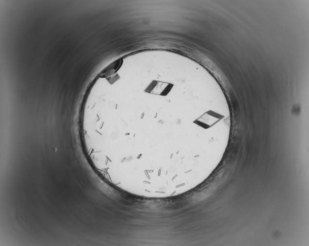 X0000102860803200809151210
