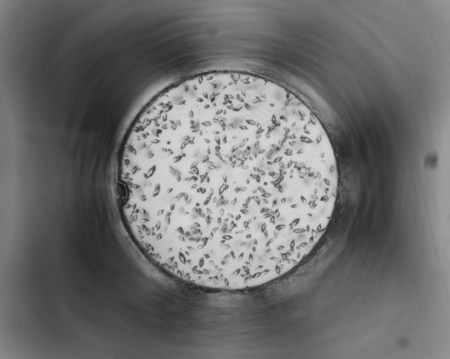 X0000102860804200809151210