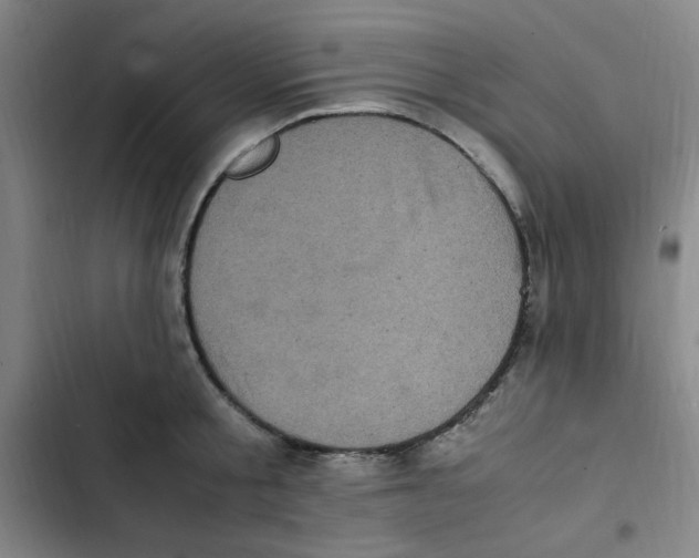 X0000102860805200809151210