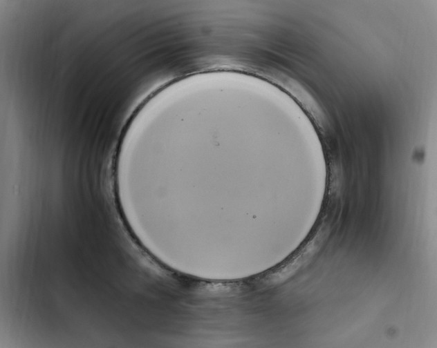 X0000102860806200809151210