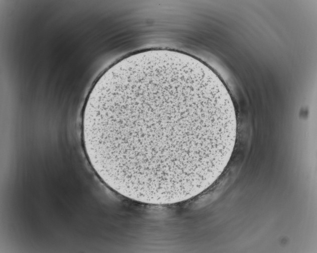 X0000102860807200809151210