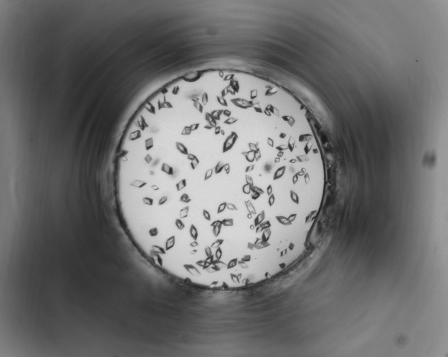 X0000102860808200809151210