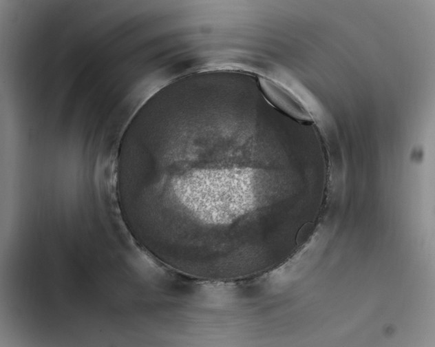 X0000102860809200809151210