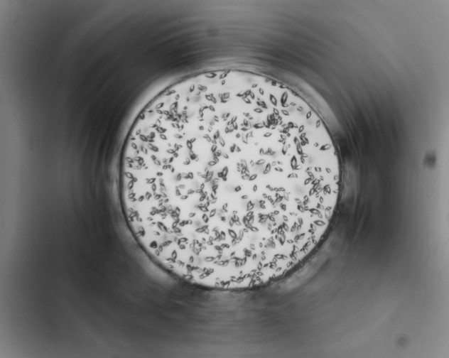 X0000102860812200809151210