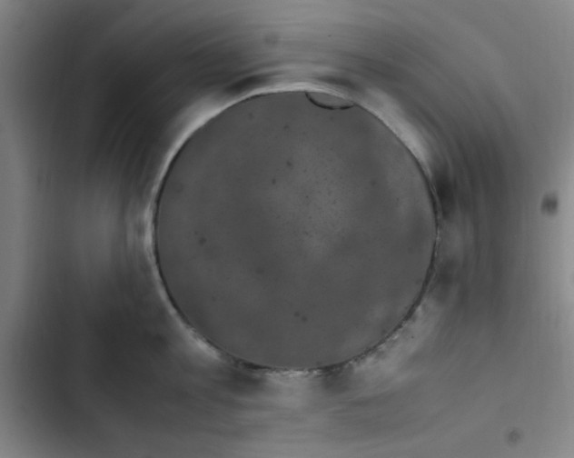 X0000102860813200809151210
