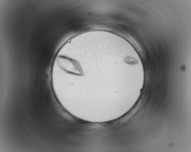 X0000102860814200809151209