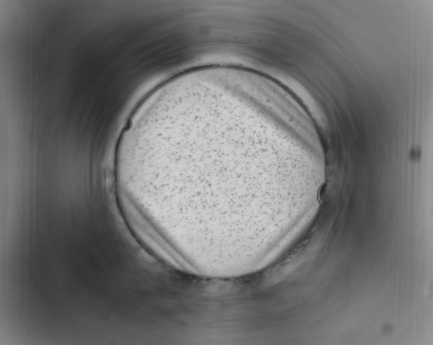 X0000102860815200809151209