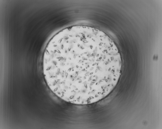 X0000102860816200809151209