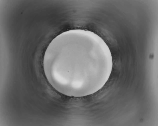 X0000102860817200809151209