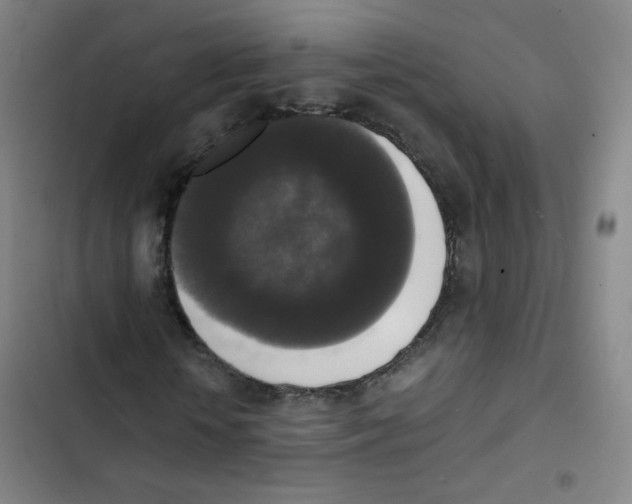 X0000102860818200809151209