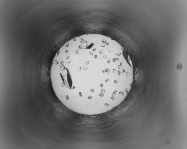 X0000102860819200809151209