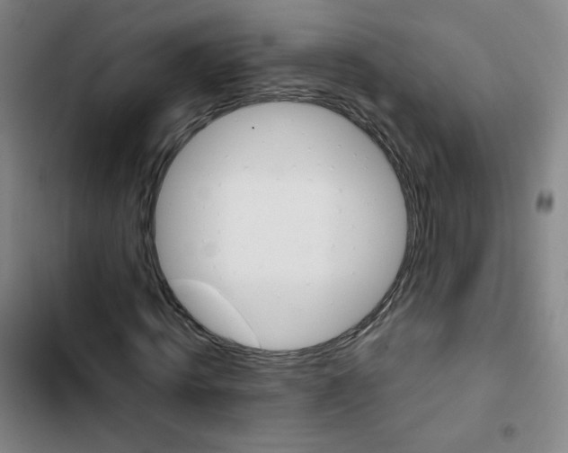 X0000102860820200809151209