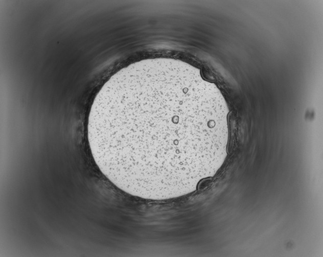 X0000102860821200809151209