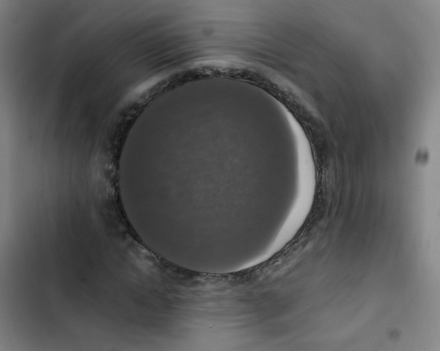 X0000102860822200809151209