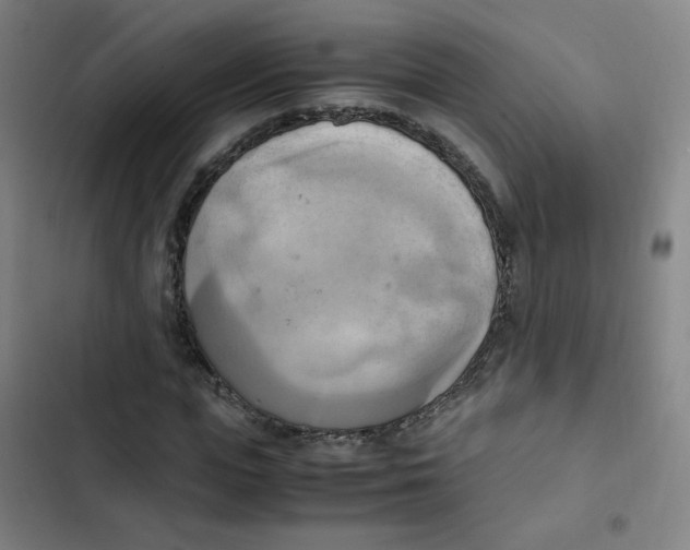 X0000102860823200809151209
