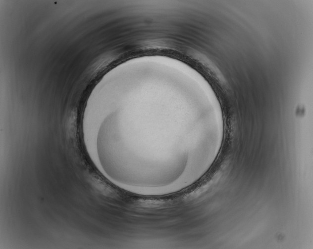 X0000102860825200809151209