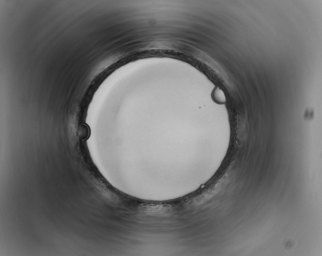 X0000102860826200809151209