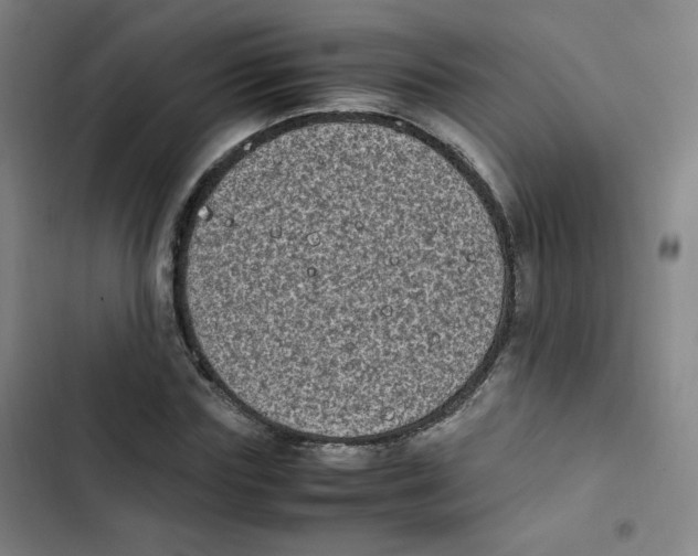 X0000102860827200809151209