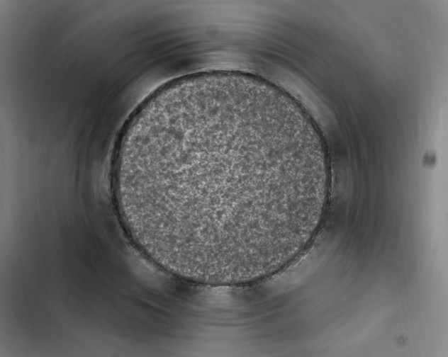 X0000102860828200809151209