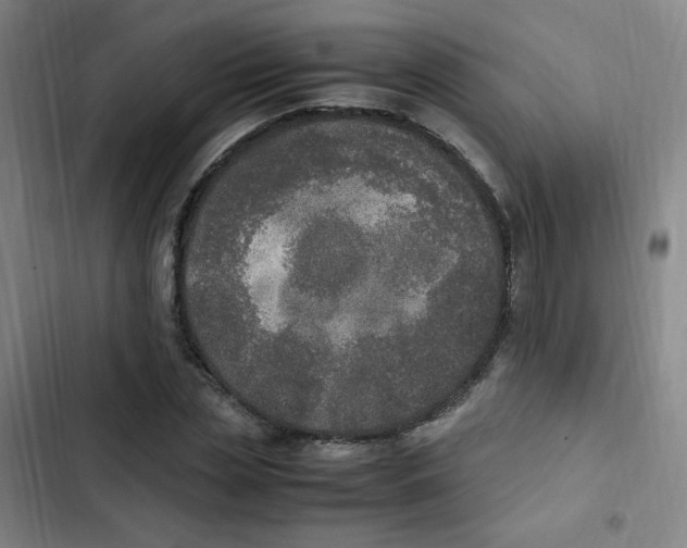 X0000102860829200809151209