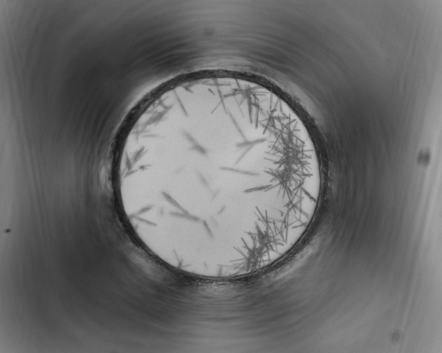 X0000102860830200809151209