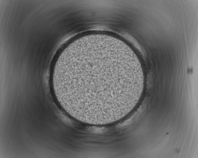 X0000102860831200809151209