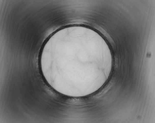 X0000102860834200809151209