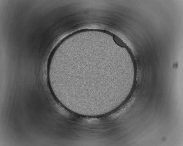 X0000102860837200809151209