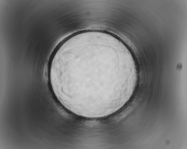 X0000102860838200809151209