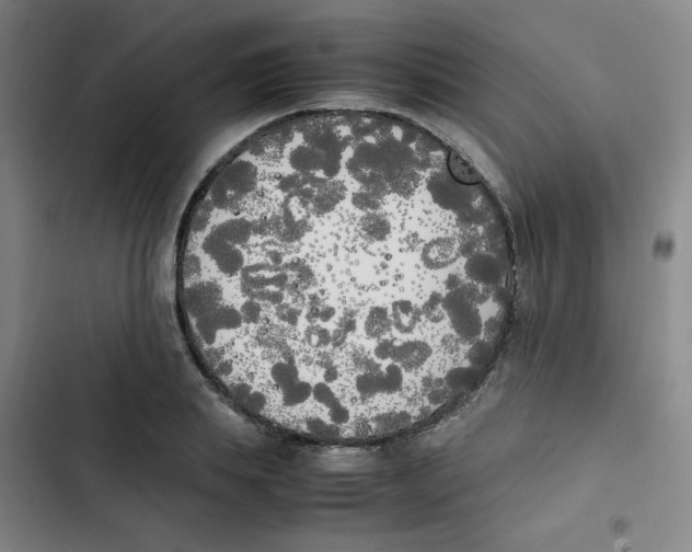X0000102860839200809151209