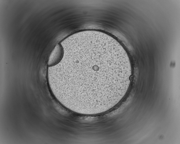 X0000102860841200809151209