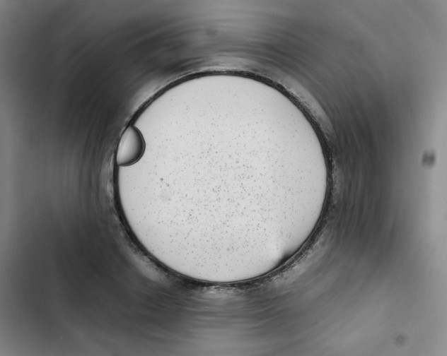 X0000102860842200809151209