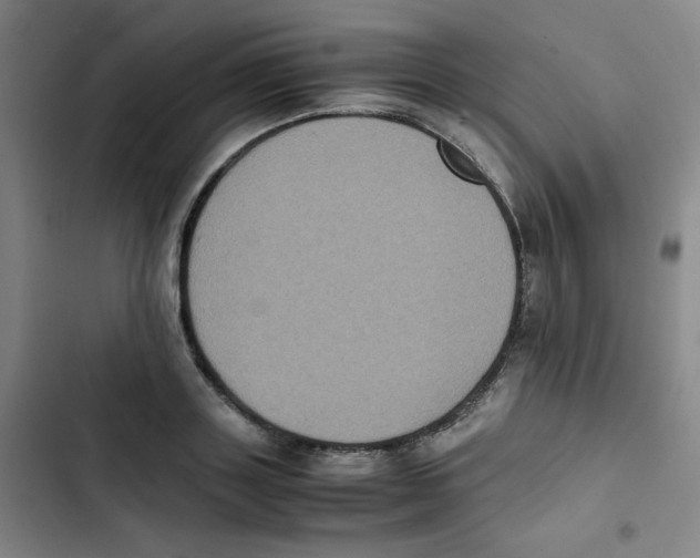 X0000102860843200809151209