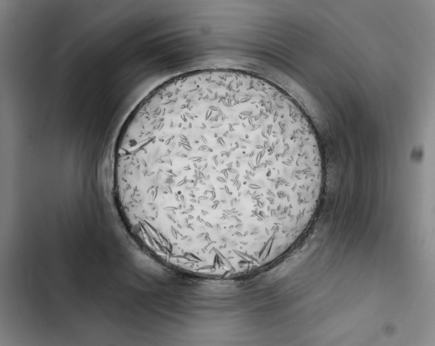 X0000102860844200809151209