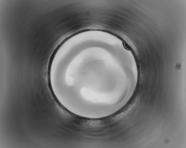 X0000102860845200809151209