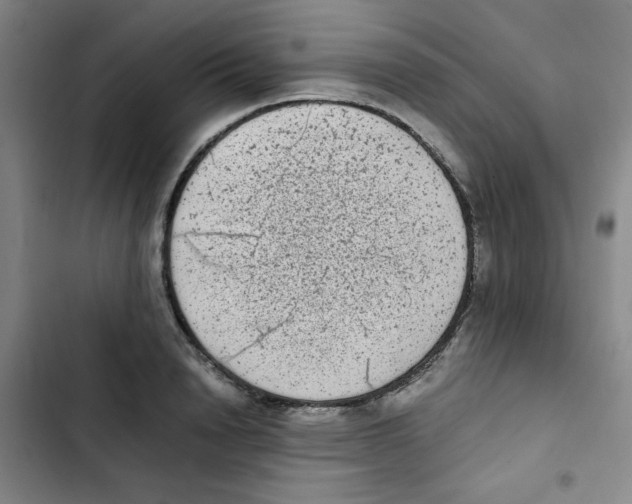 X0000102860846200809151209