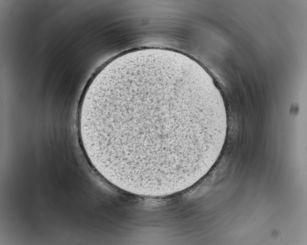X0000102860848200809151209