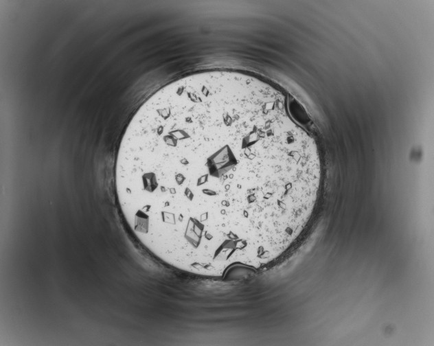 X0000102860849200809151209