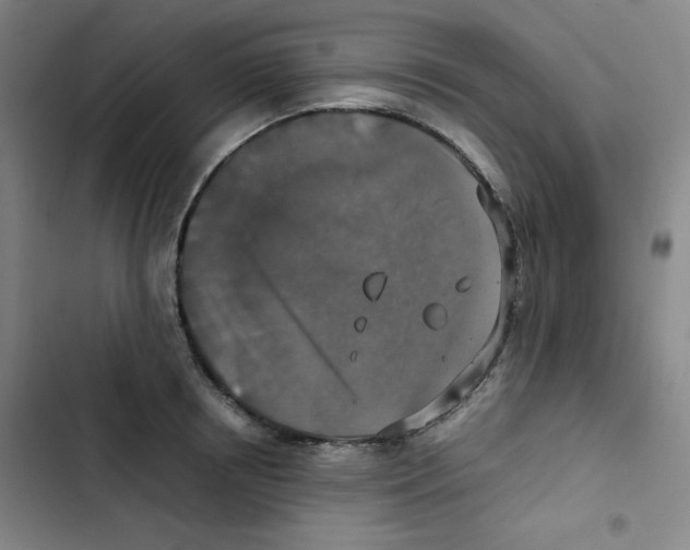 X0000102860850200809151209