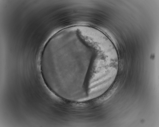 X0000102860851200809151209