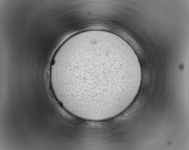 X0000102860852200809151209