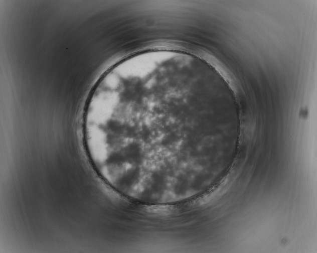 X0000102860853200809151209