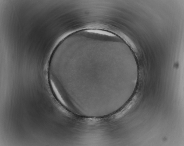 X0000102860854200809151209
