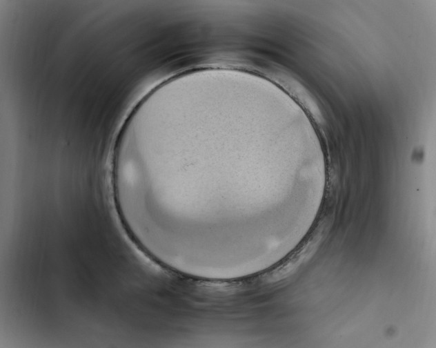 X0000102860855200809151209